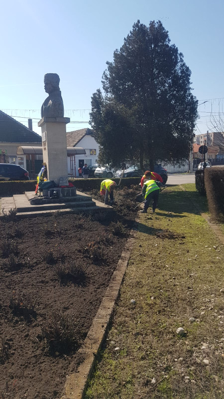 Întreținere spații verzi și parcuri