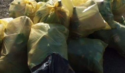 Lucrări de curățenie și igienizare